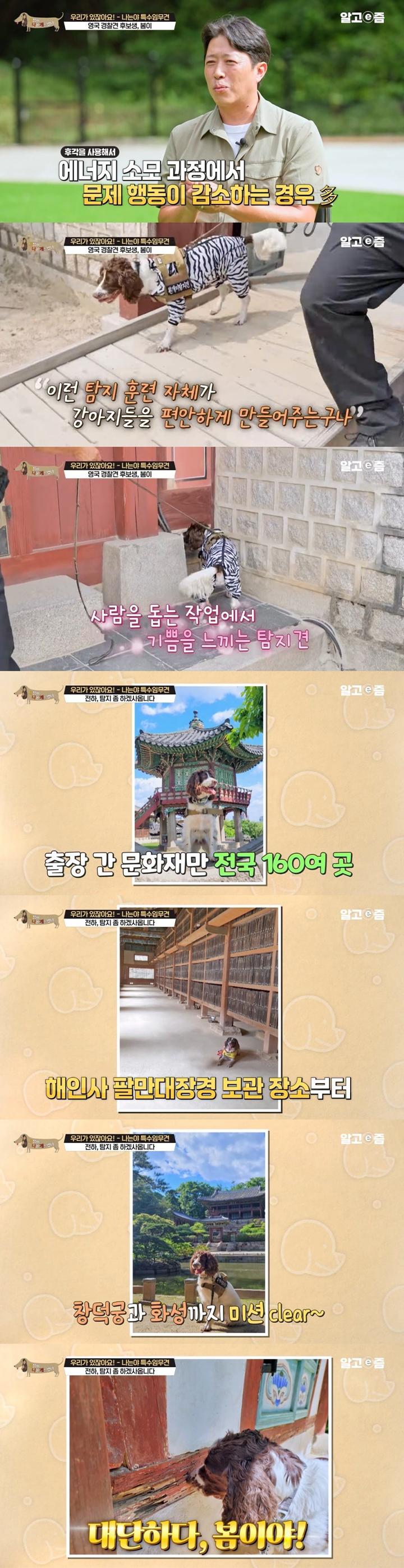 정책지식 2025.8.13. : 네이버 블로그